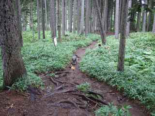DSCF4350.JPG