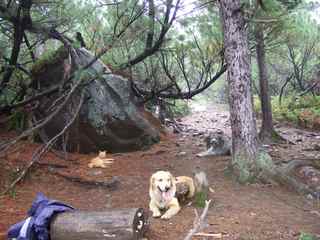 DSCF4357.JPG