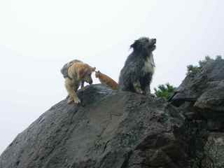 DSCF4368.JPG