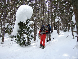 DSCF4853.JPG