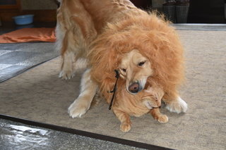 DSC_0652.JPG