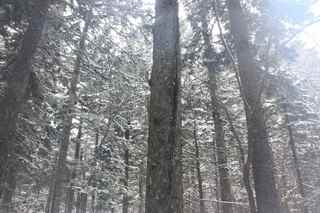 IMG_7554 - �R�s�[.JPG